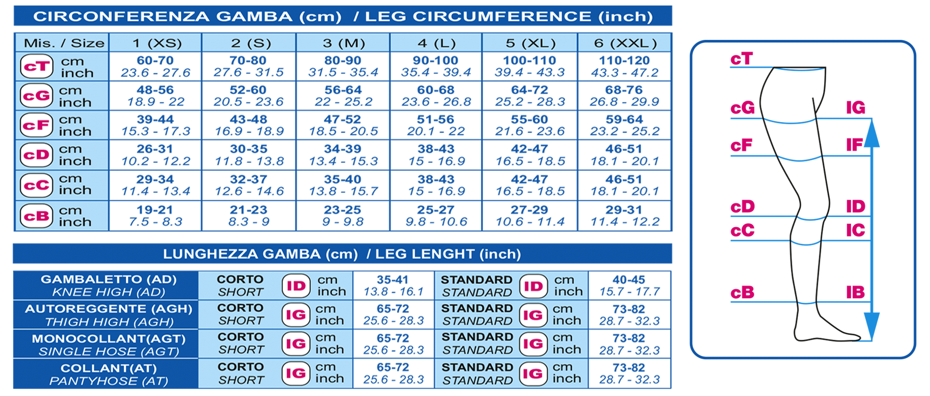 AUTOREGGENTE CON COTONE ccl.2 CERTIF. RAL - MODELLO STANDARD (statura da cm 165 a cm 185) - immagine 2